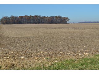 Tract 2 - FARMLAND AUCTION - 165.5+/- ACRES OFFERED IN 5 TRACTS OR COMBINATIONS IN EAST ALLEN COUNTY